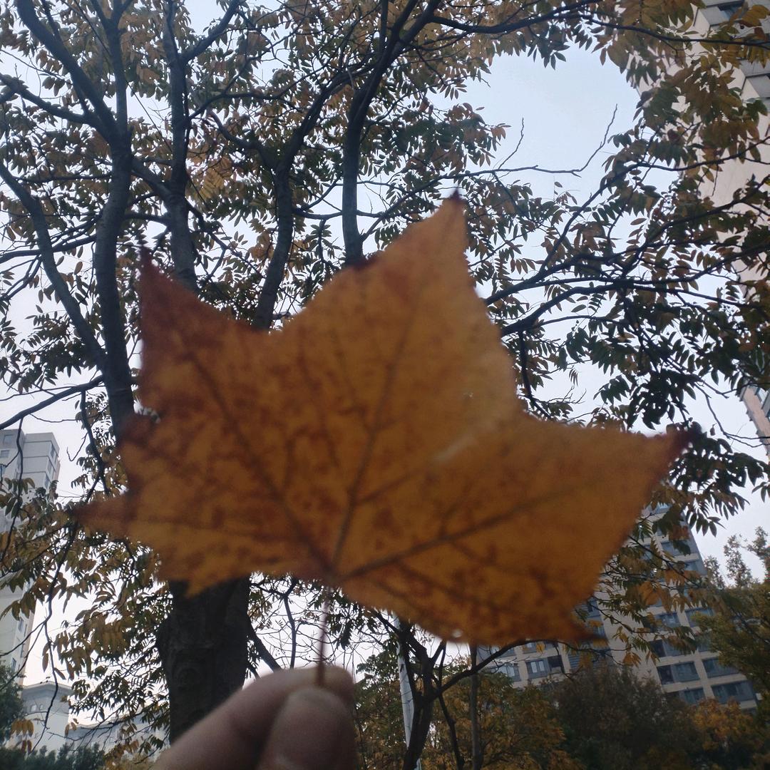 先努力活着。”