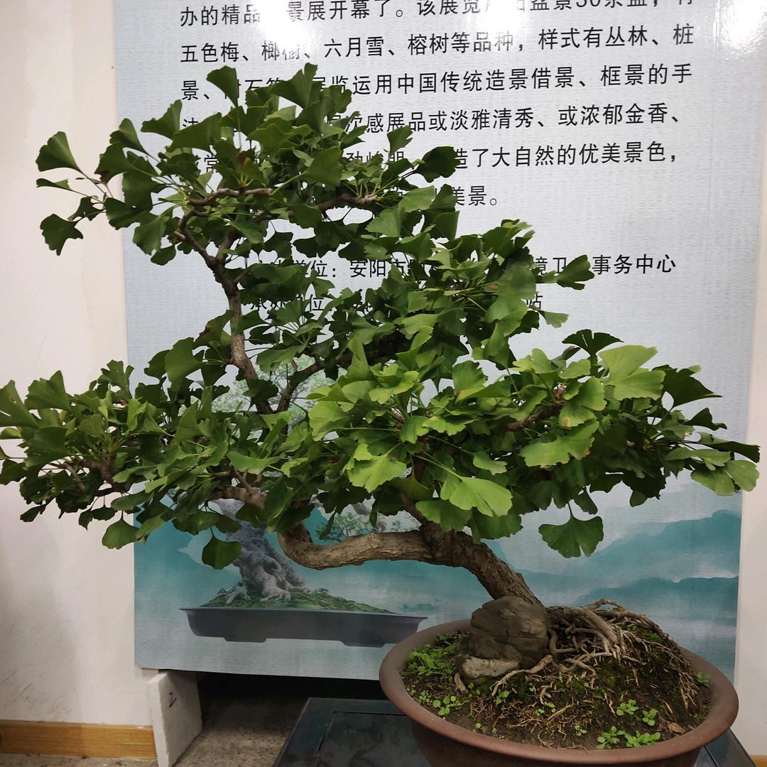 知