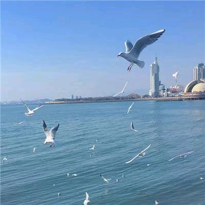 小河清清