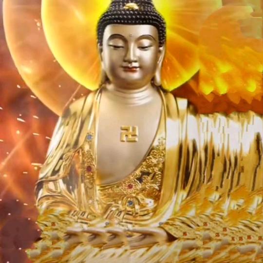 尘与土