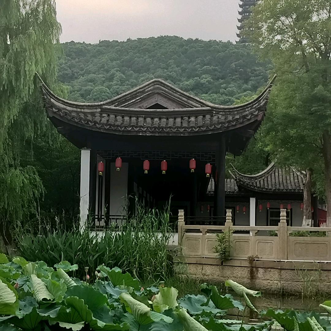 逍遥随性