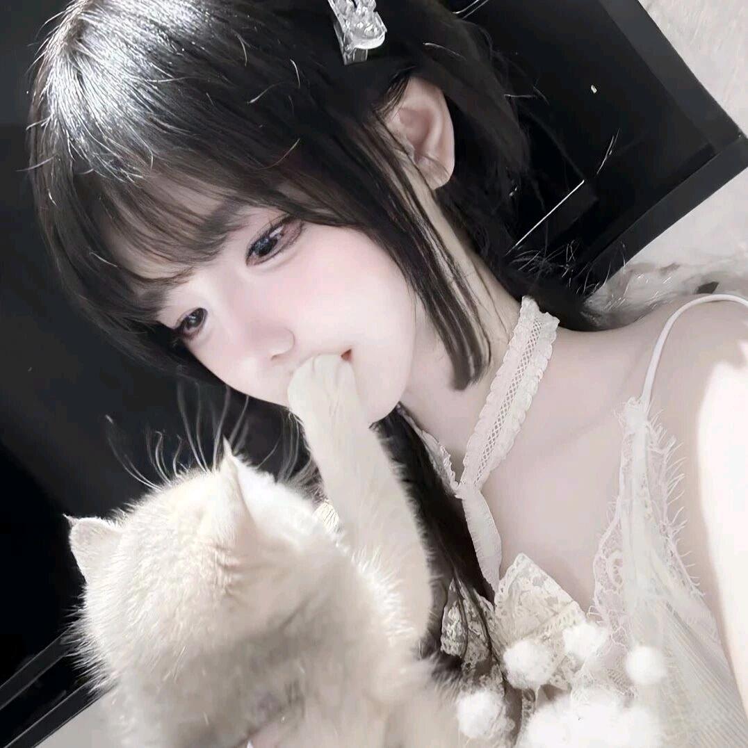 鱼七七（和平PC模拟器）