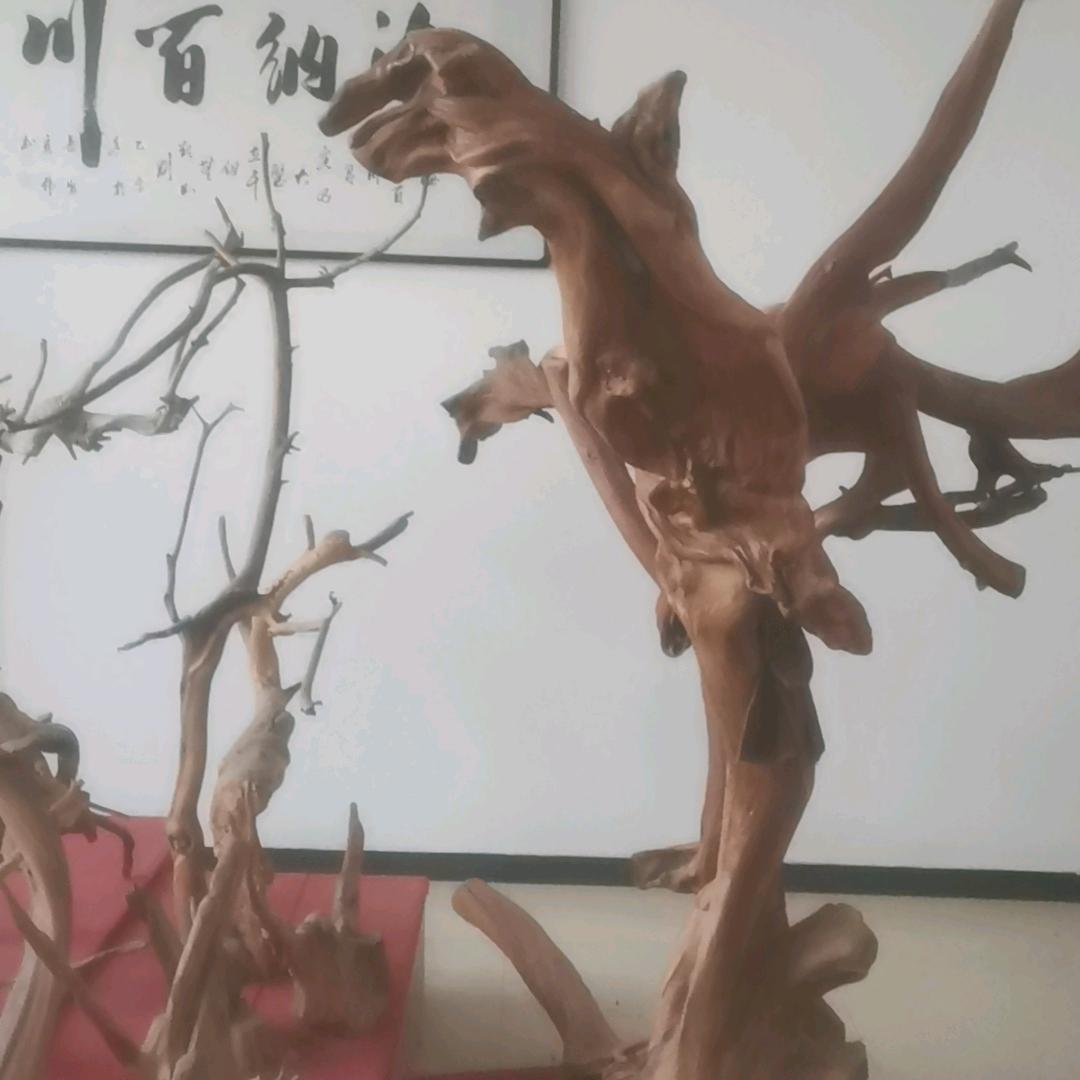 崖柏爱号者