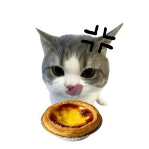 小熊魏尼