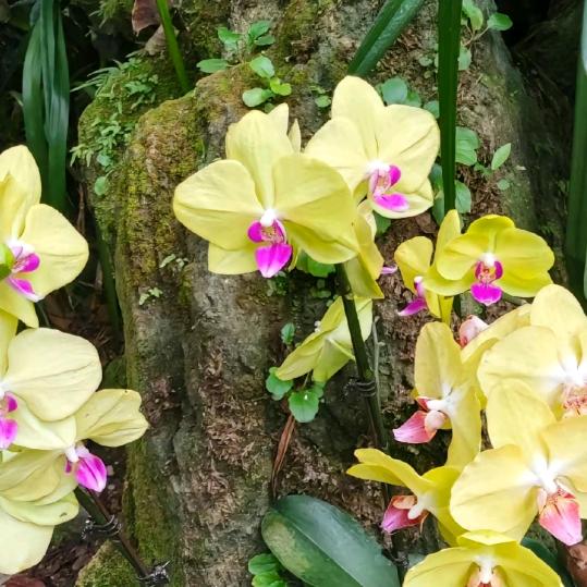 我家专业干钢结构