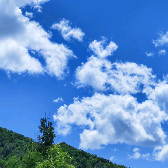 藏药全系列产品厂家