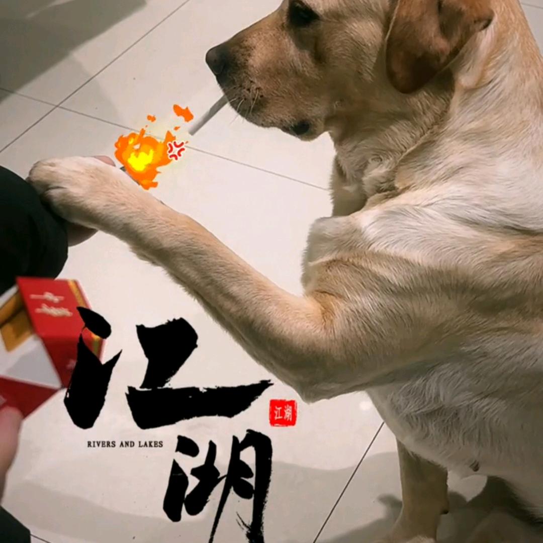 名字只是个称呼5