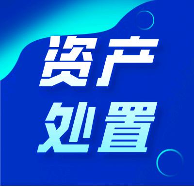 特殊资产信息港