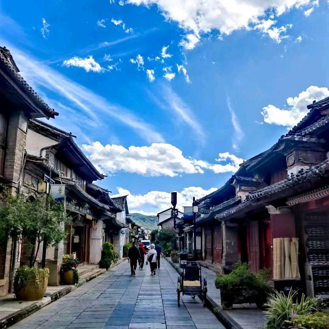 旅居的薇薇