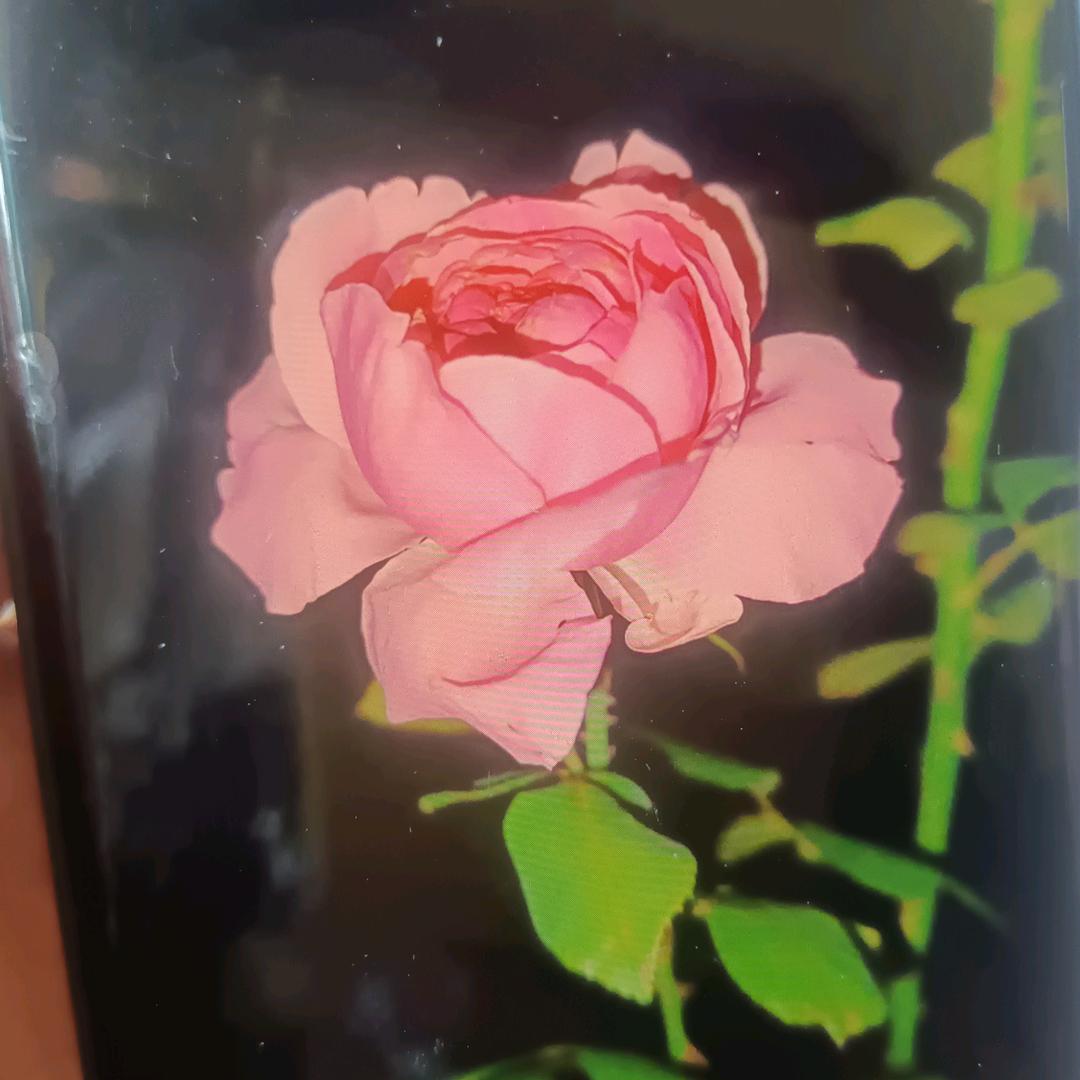 畅唱喜乐