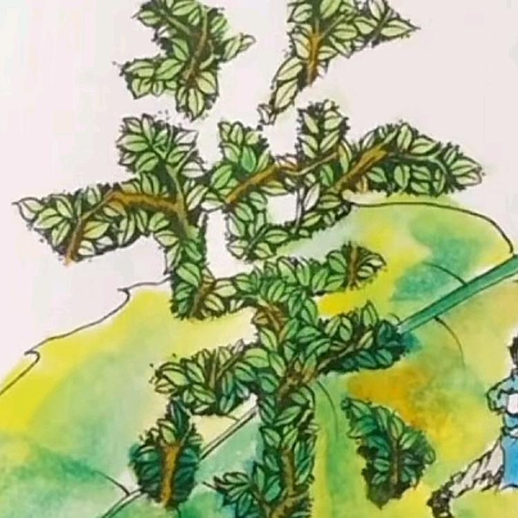 巴玛佳(江西)新华