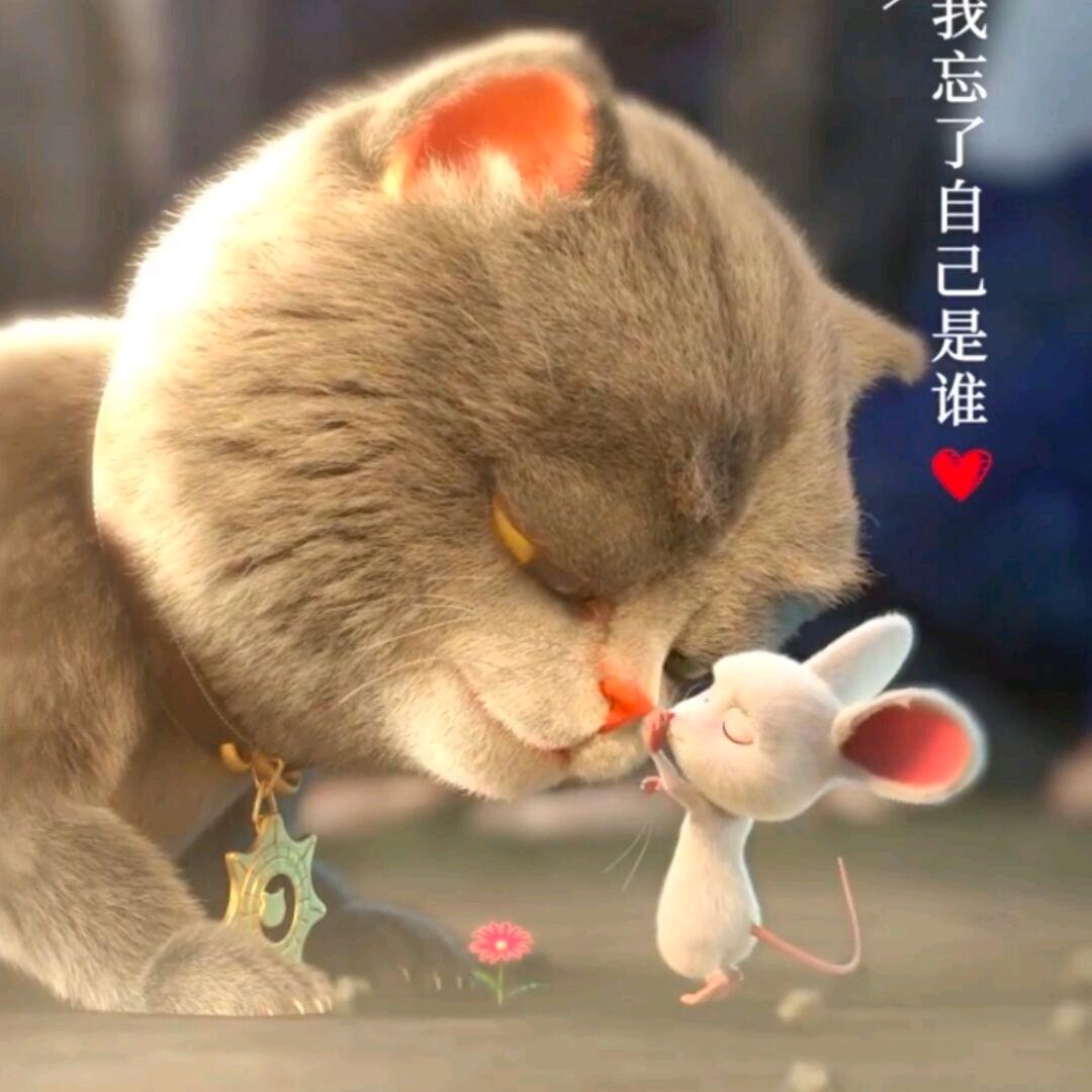 两元鲜羊排串🐉烤生蚝
