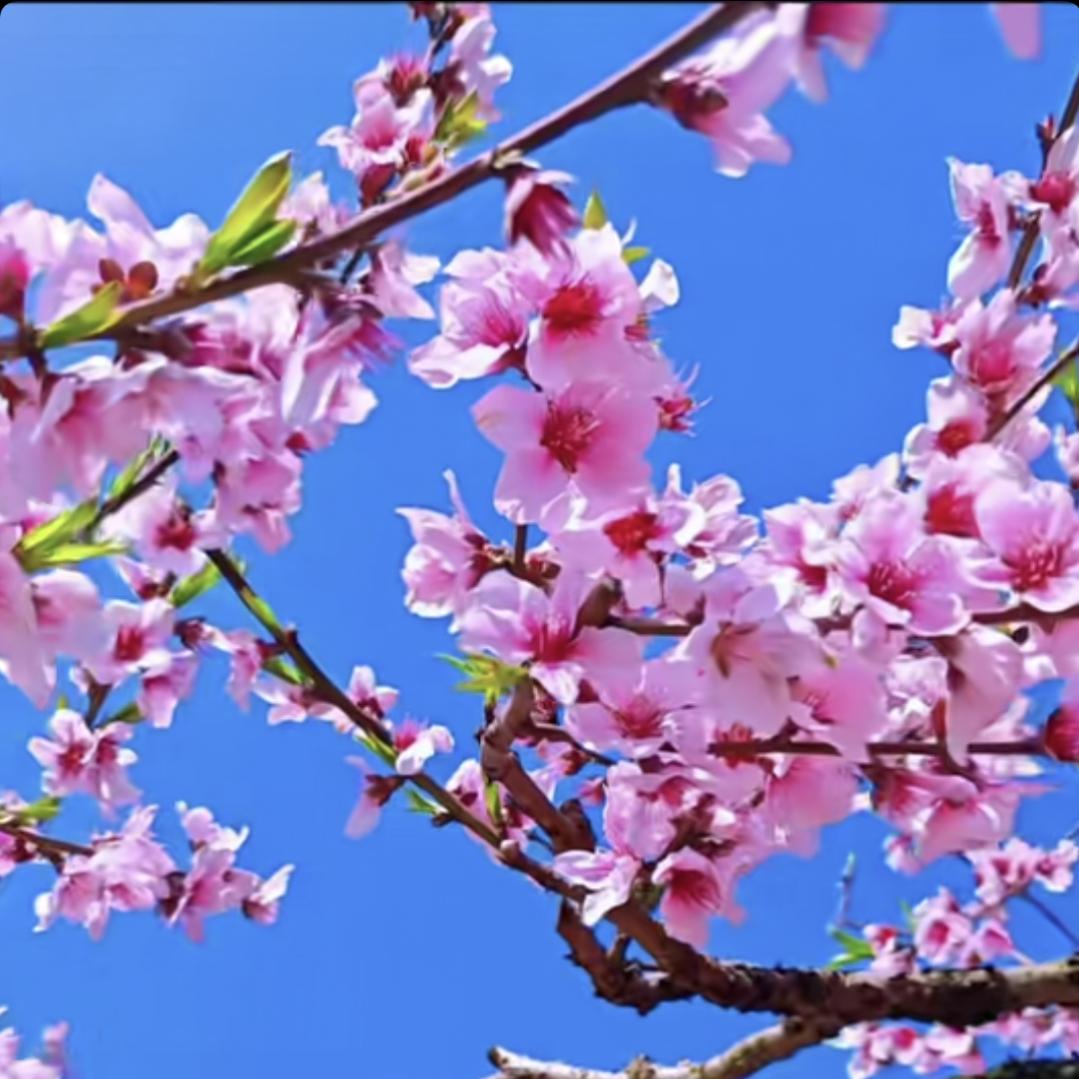 90后小哥哥（嘉欣）