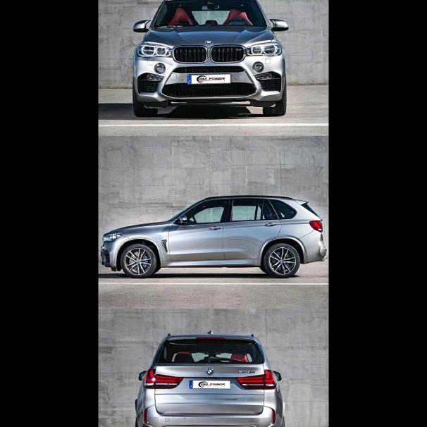 君诚苗圃彩叶丛生