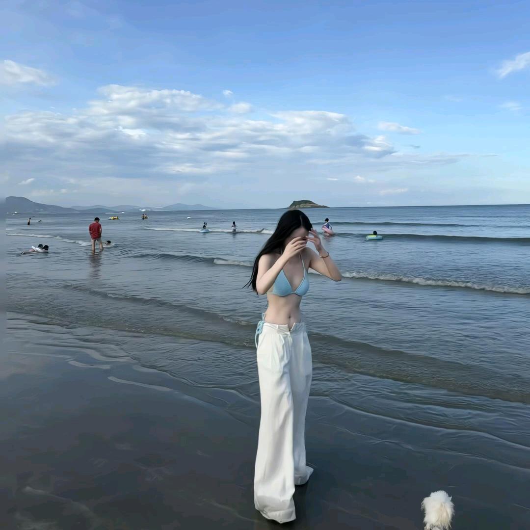 会飞的鱼