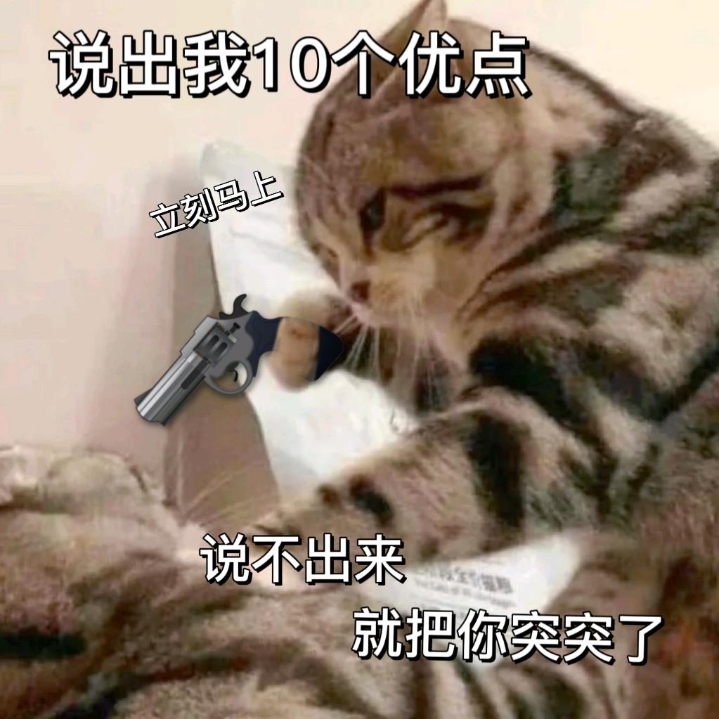 🎁全都在口袋