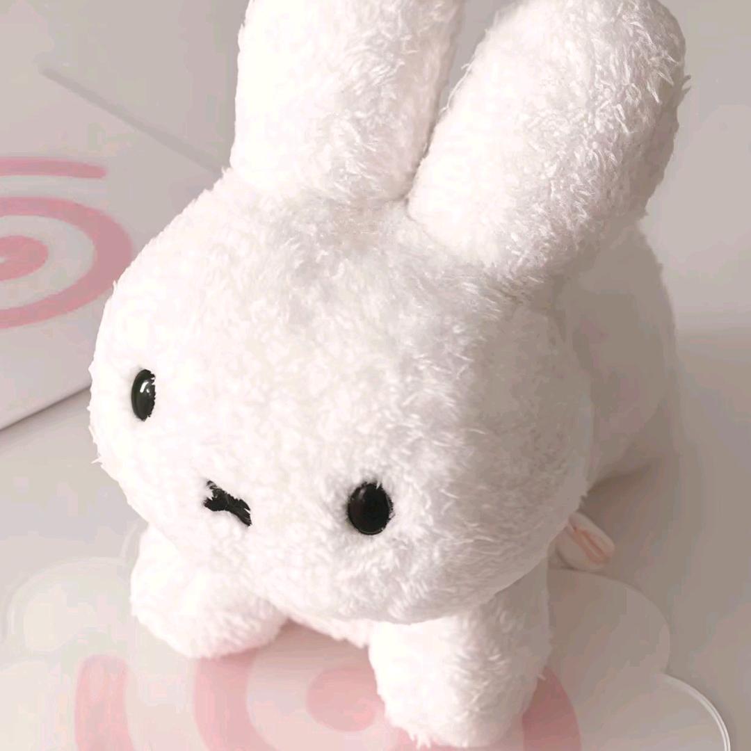 角落的猫.
