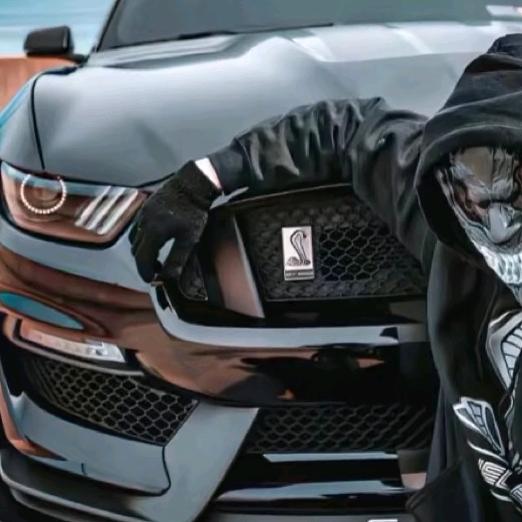 🚗小高二手车行(只玩精品)