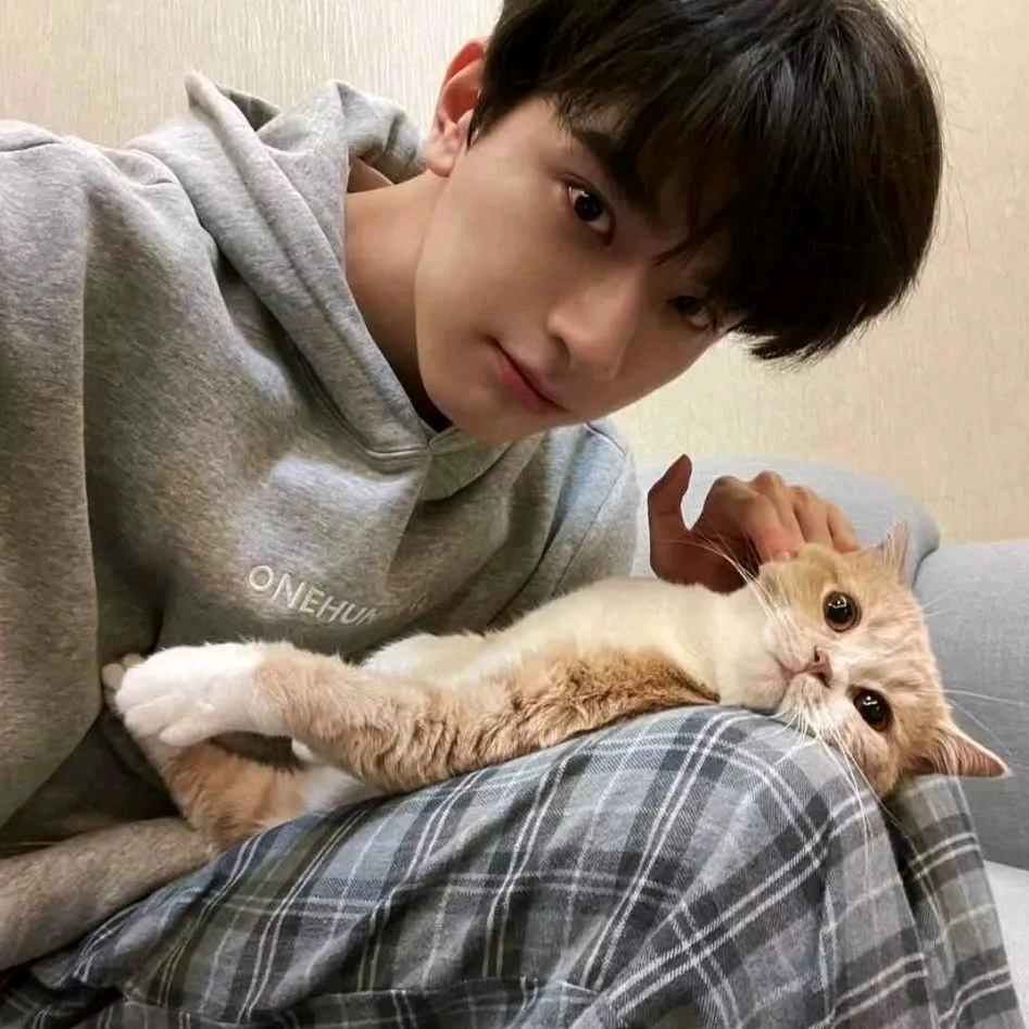 总是睡觉的明✨