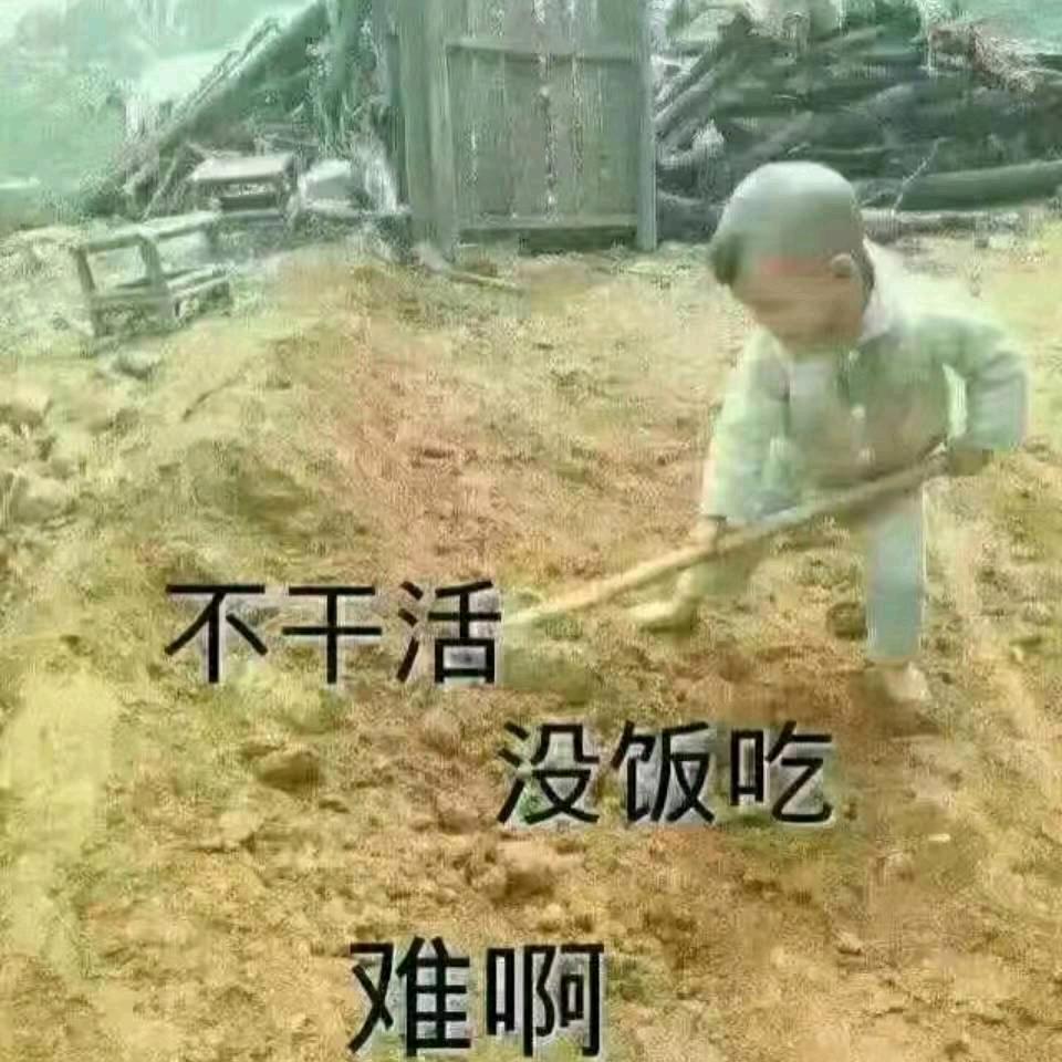 忘情水