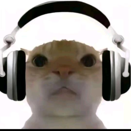 张扬₆₆₆