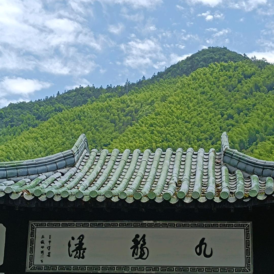 永创视界
