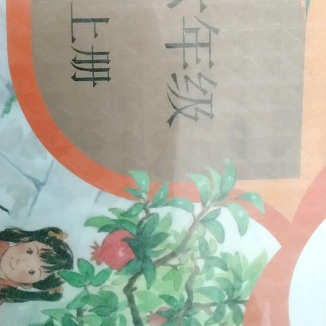 黑白的喜欢