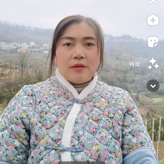 胡二姐