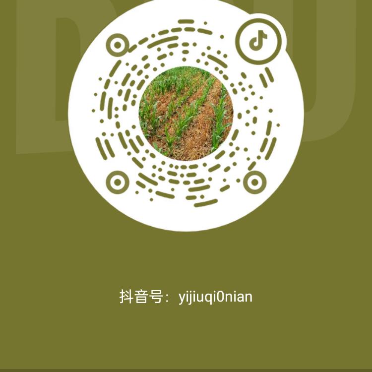 一九七0年二月初二苗秀东