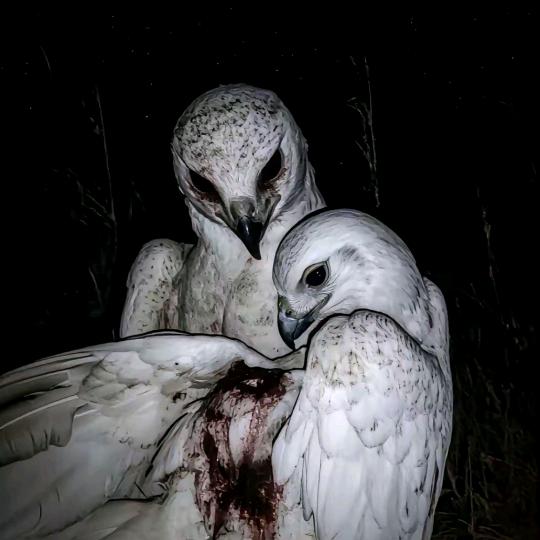 江苏最锋利的剑