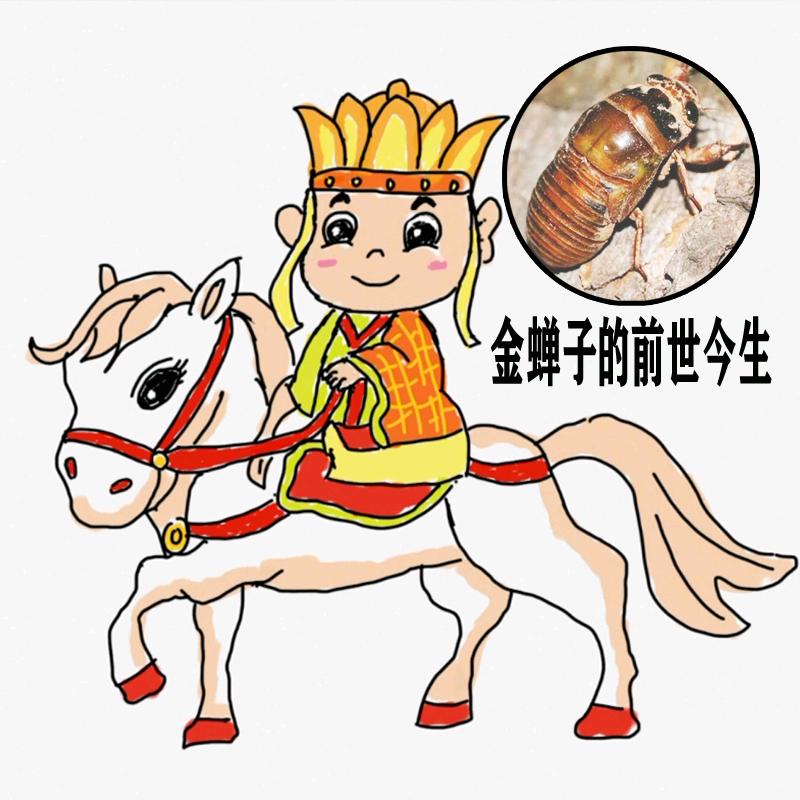 无为马蹄荸荠水果之乡