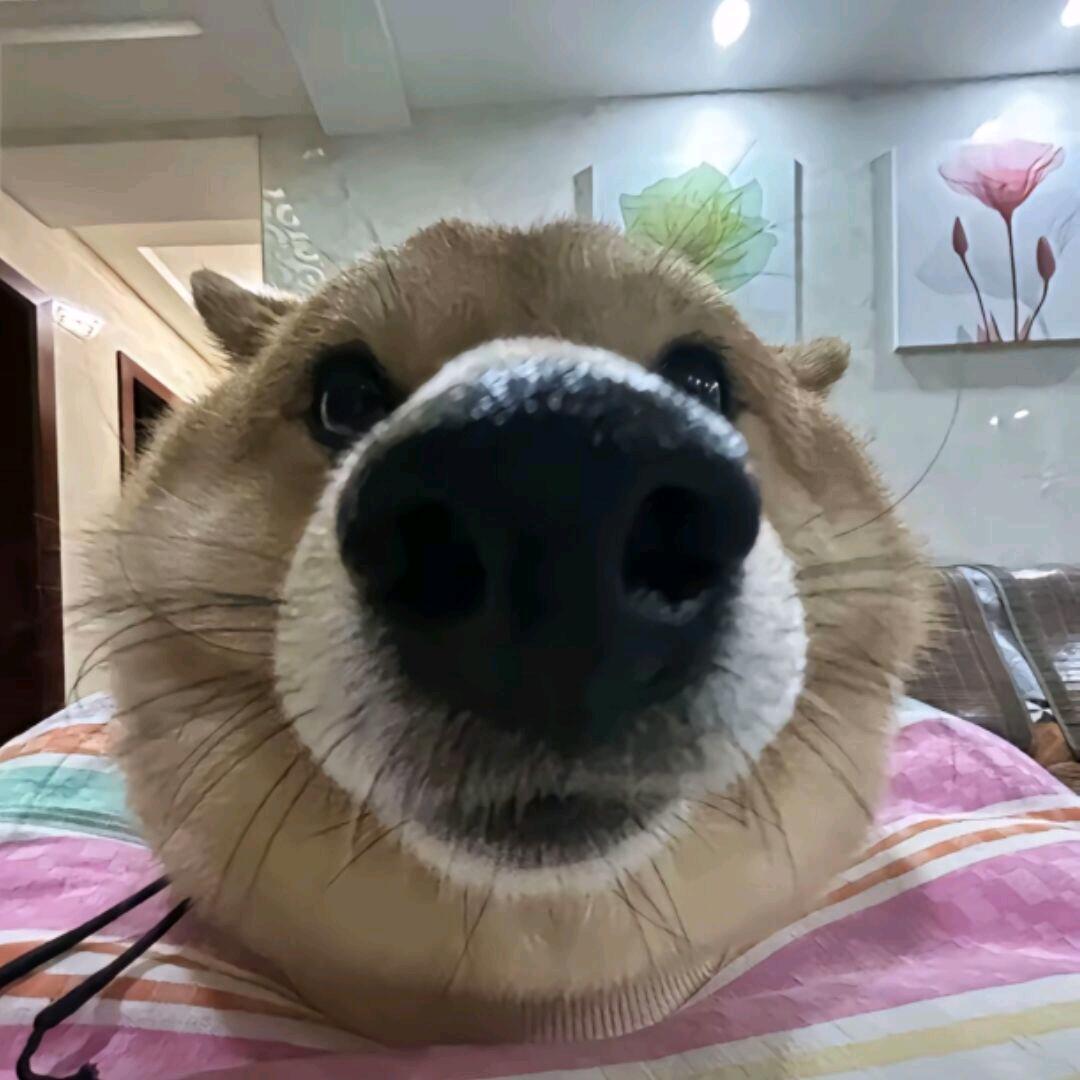 KFC在炸炸鸡୧⍤⃝🏸
