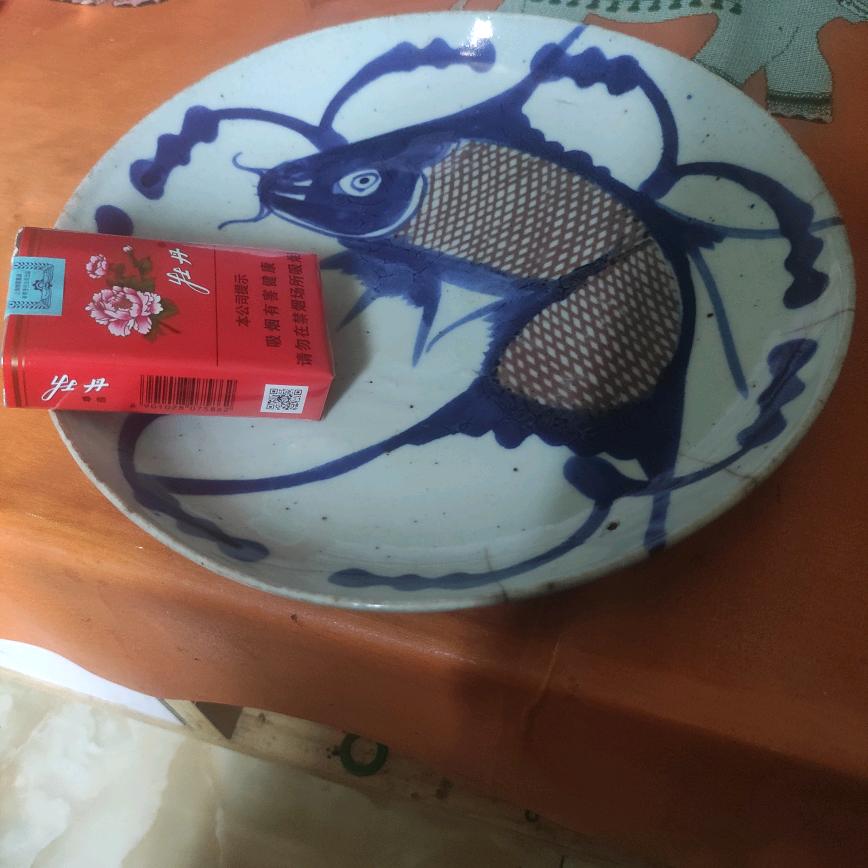 65的蛇