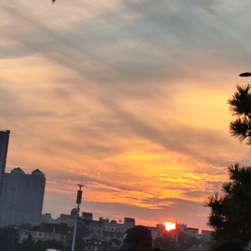 懒阳阳