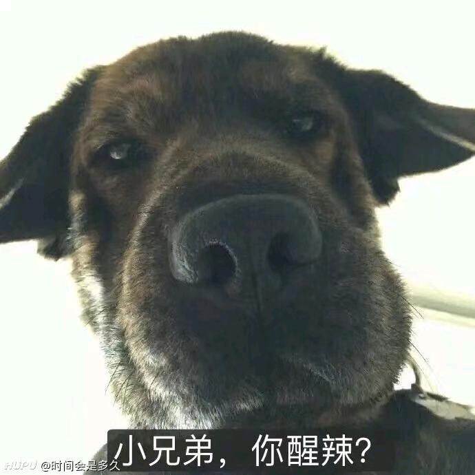犟嘴