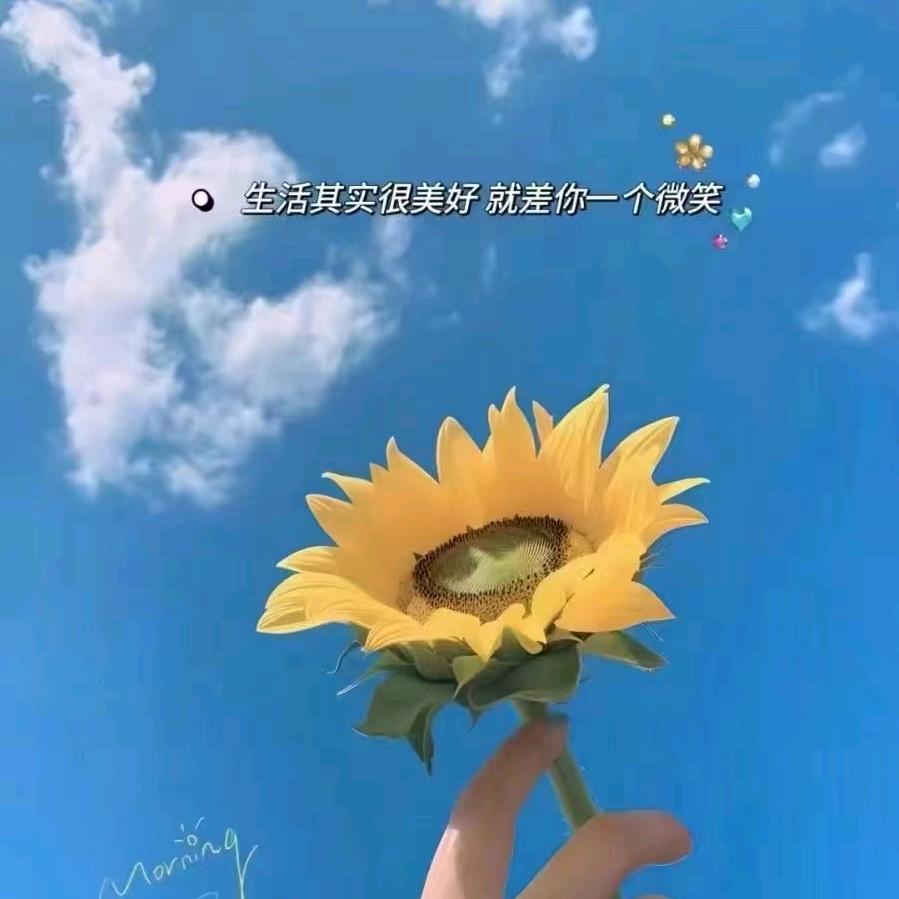 罗家@四姑娘