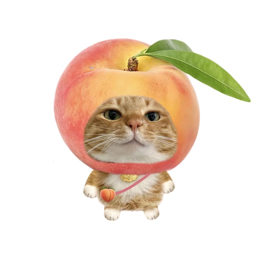 小小小小云吞