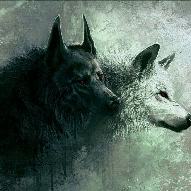 娱乐性低端王者对抗路/勿喷/川普解说