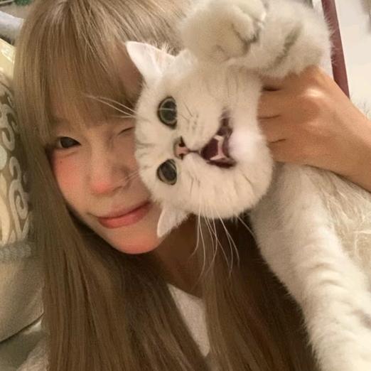 小猫碎碎念koiᥫᩣ