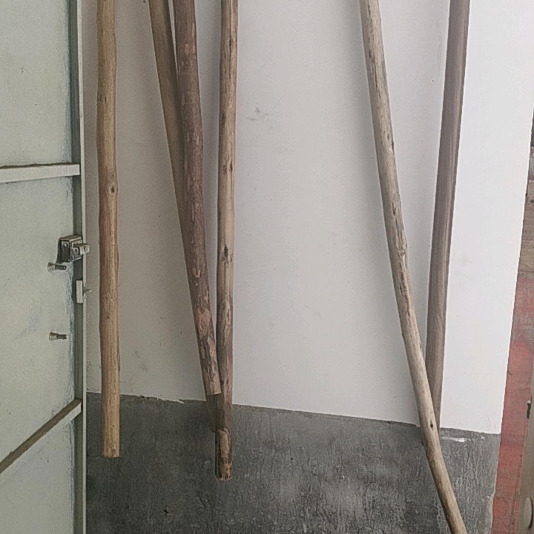 求真而探索，务实而随缘