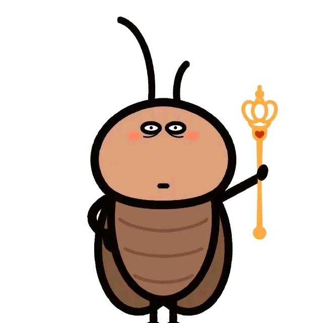 피피
