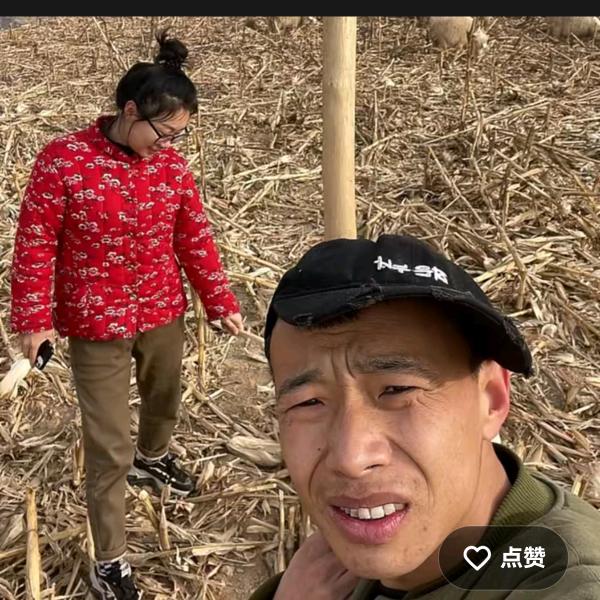 三宝爱吃土豆