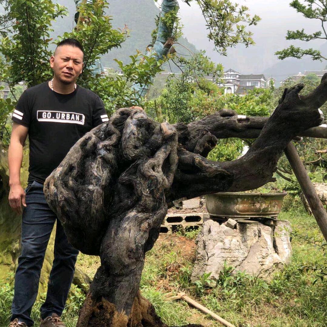 忠哥园艺禅心