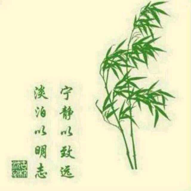 嘉诚哥(2518)