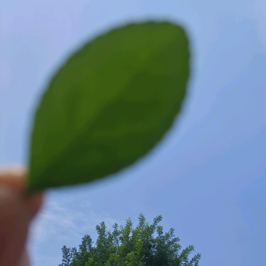 那行吧