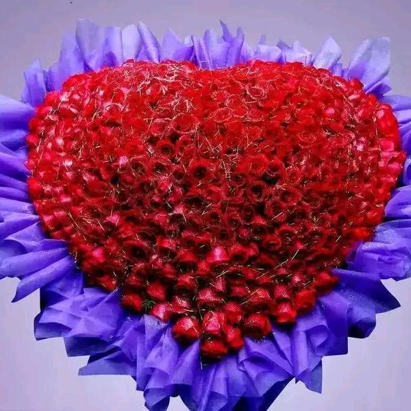 人间李想💝💝💝
