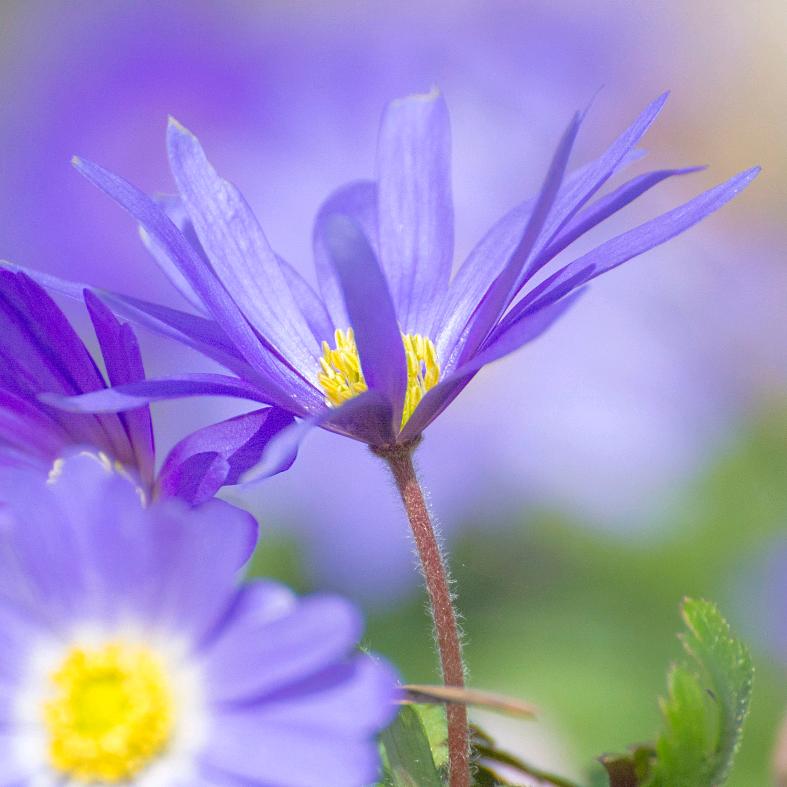 丢了我最迷人的笑9