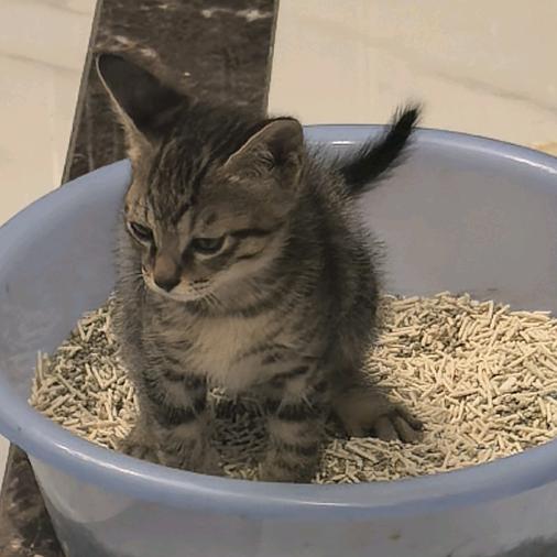 丨人生如逆旅丨