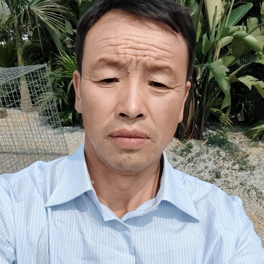 梦想成真1