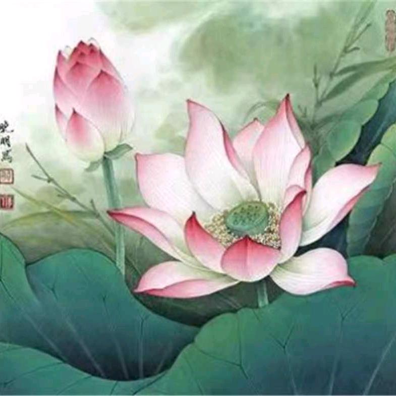一杯茶暖暖胃